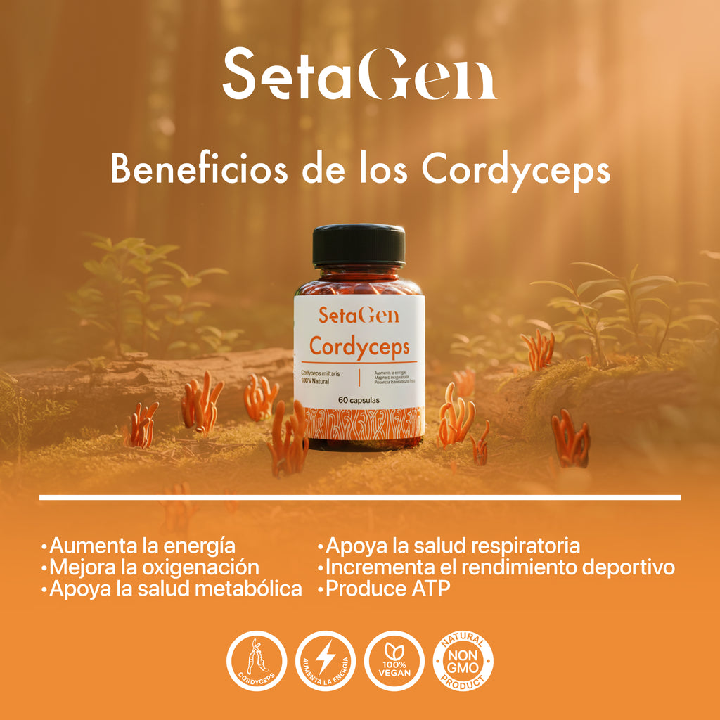 Cordyceps