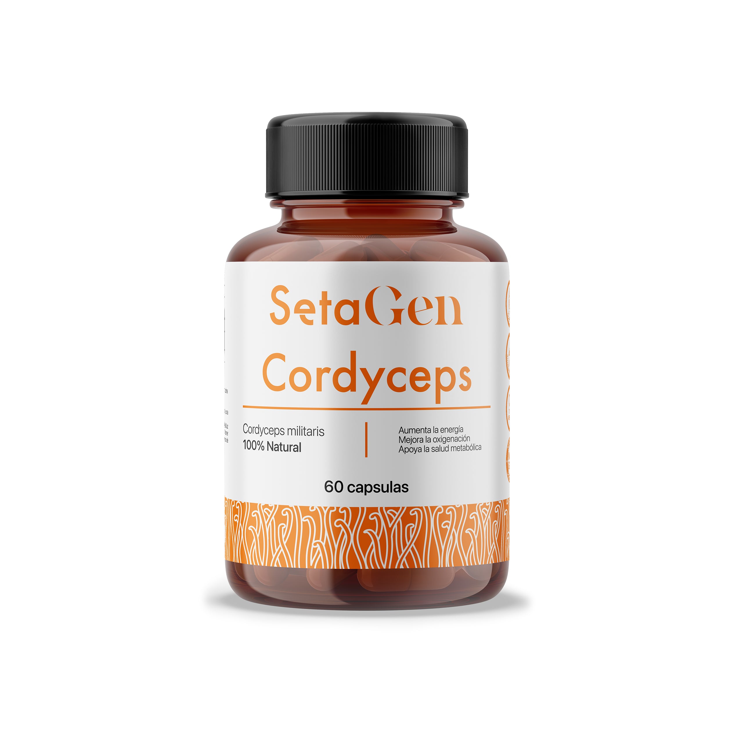 Cordyceps
