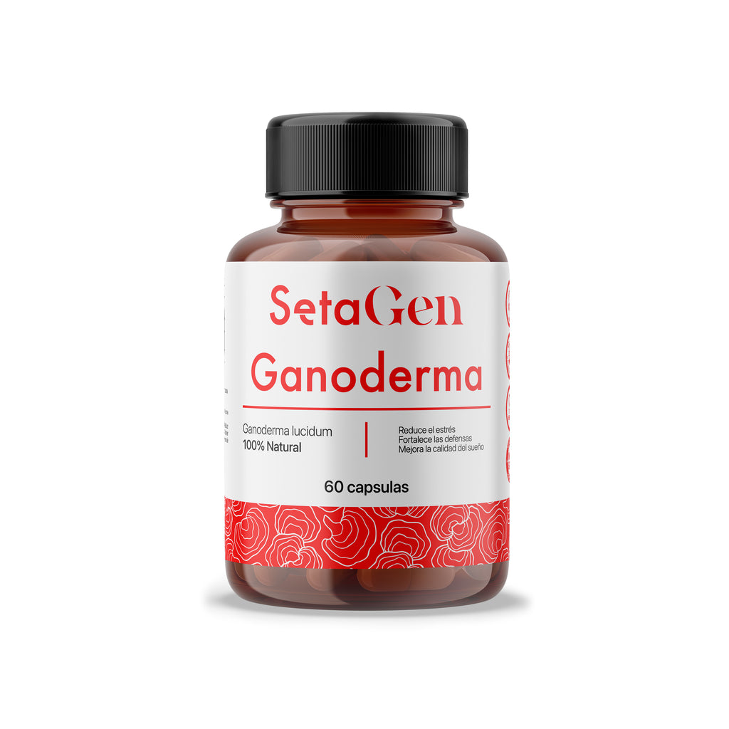 Ganoderma - Reishi