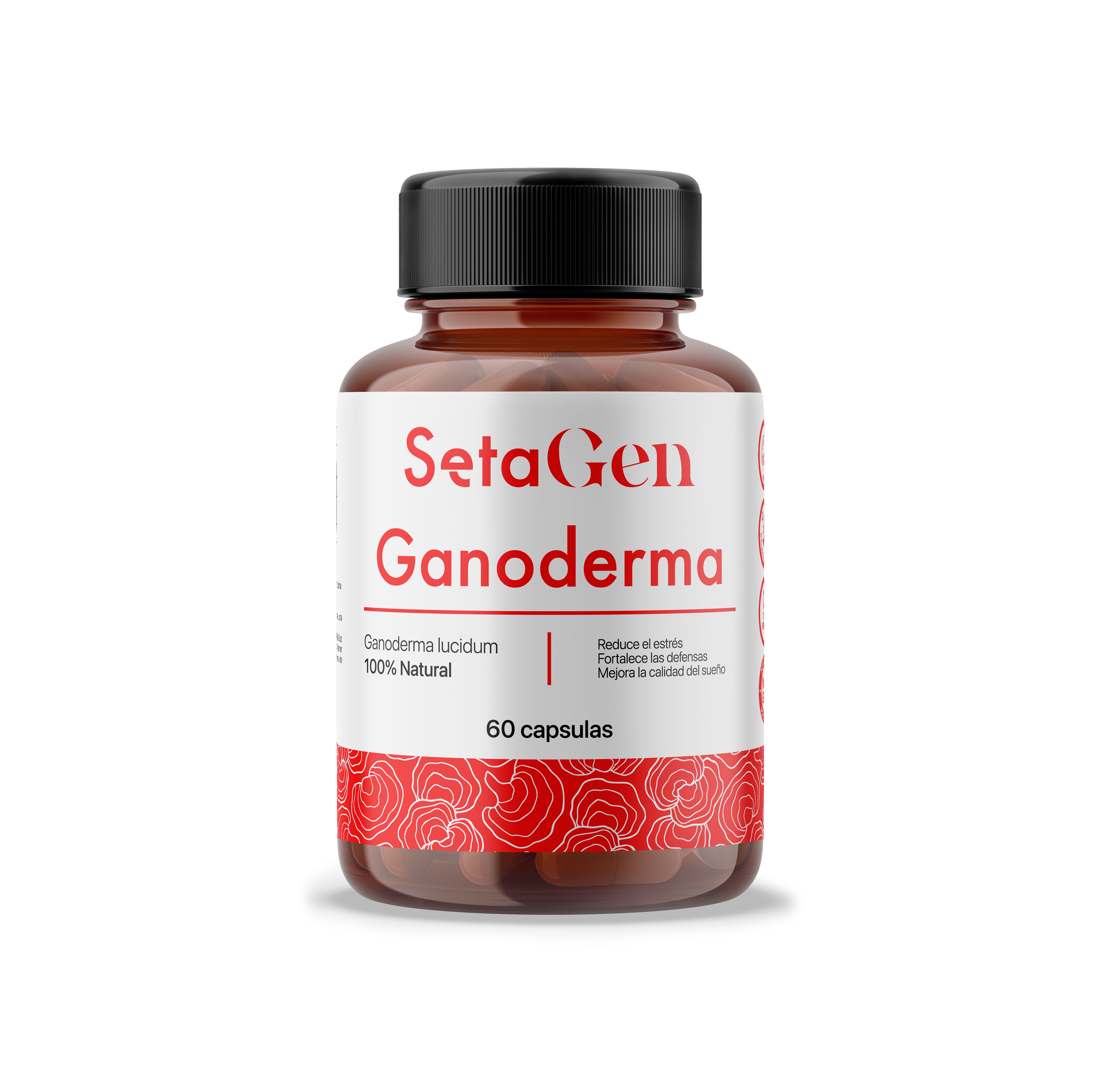 Ganoderma - Reishi