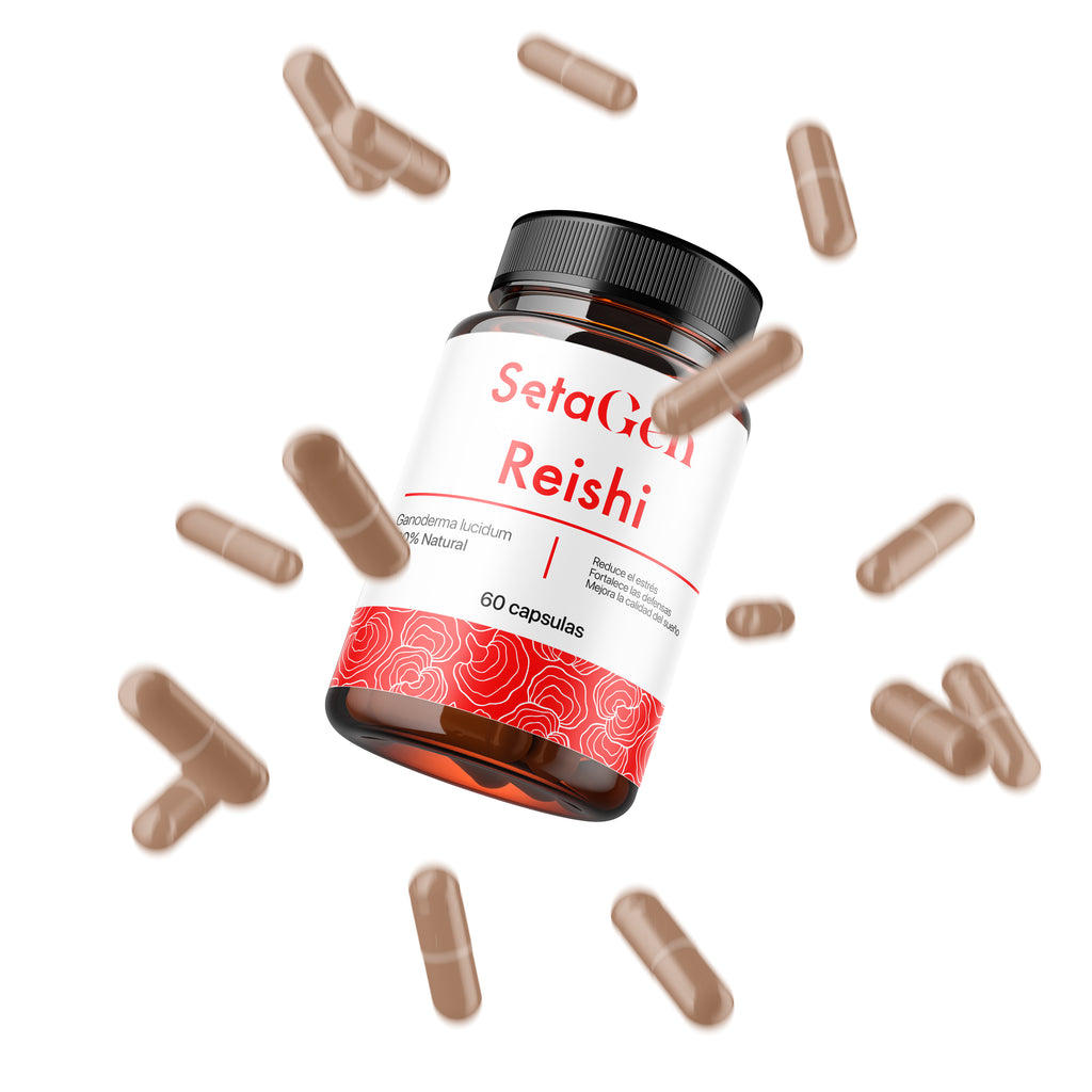 Ganoderma - Reishi