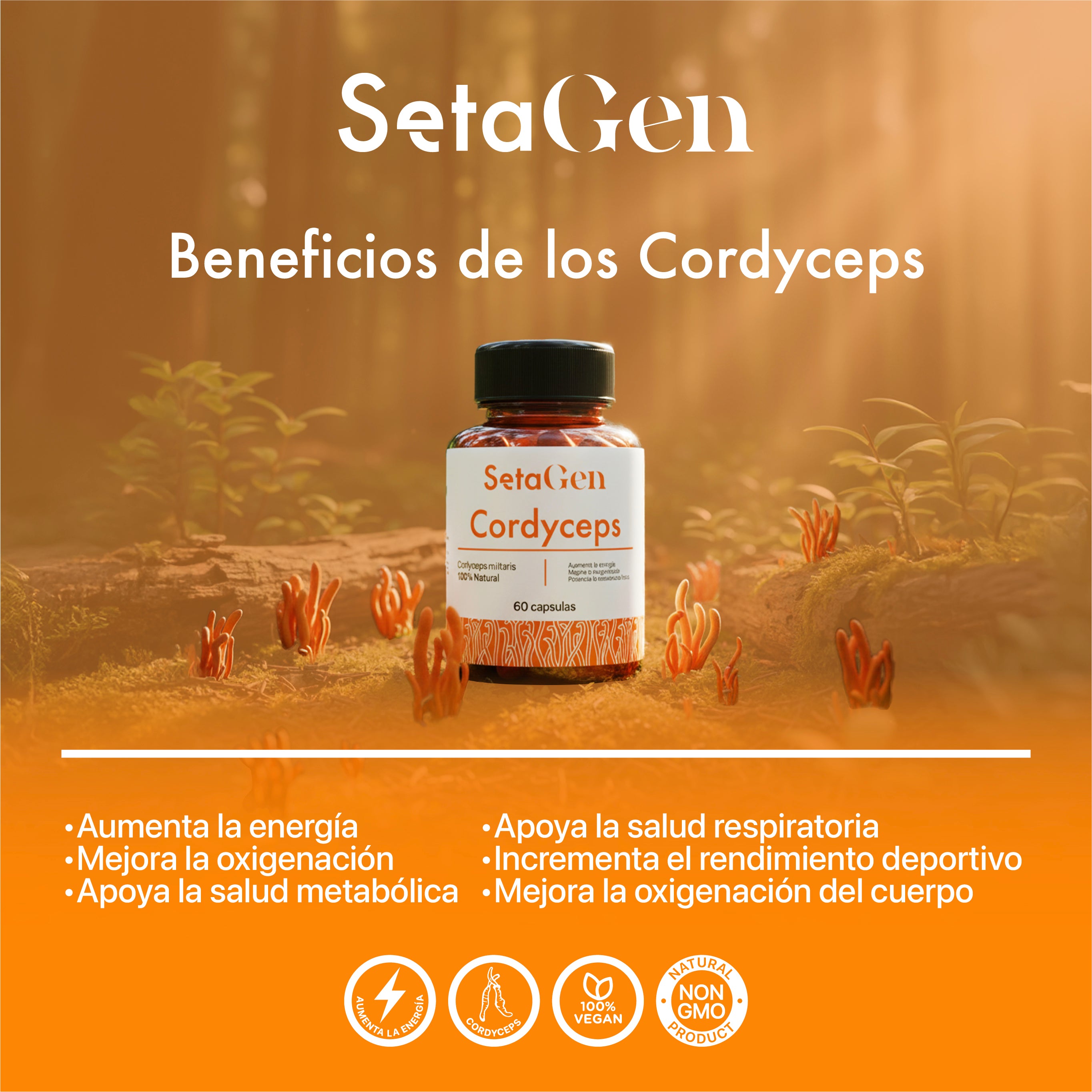 Cordyceps